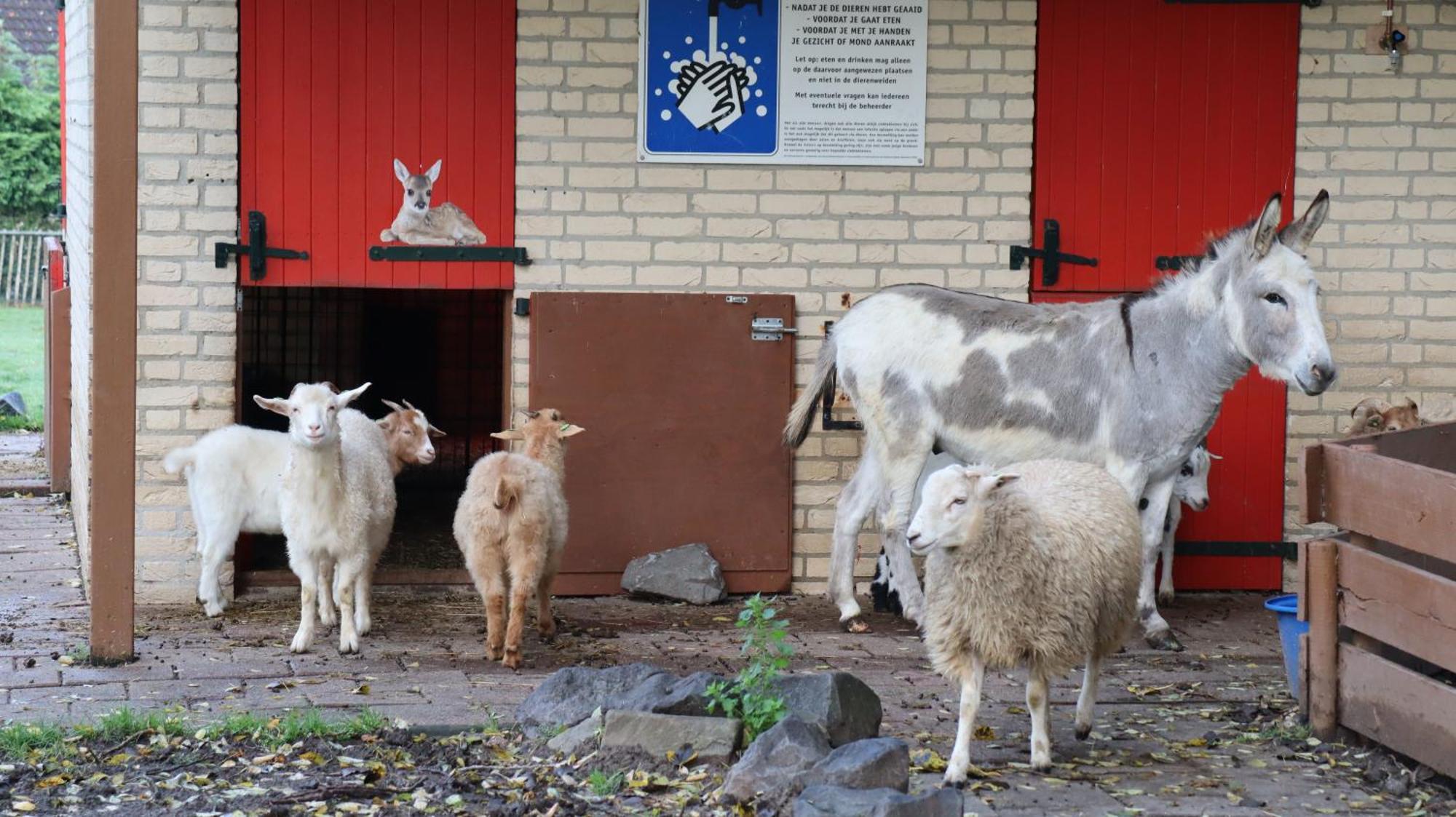 Het Huys Ewijk Mooi Luxe En Een Laadpaal Exterior foto