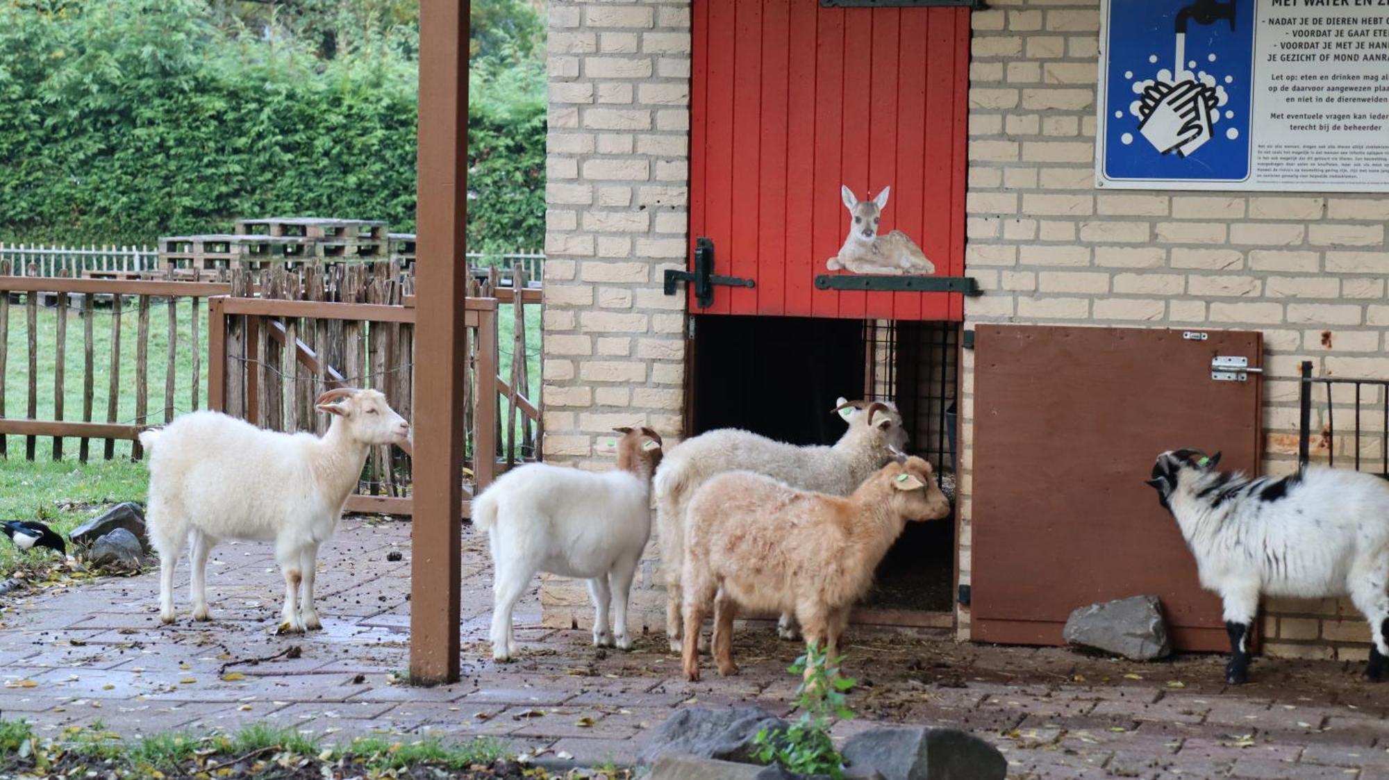 Het Huys Ewijk Mooi Luxe En Een Laadpaal Exterior foto